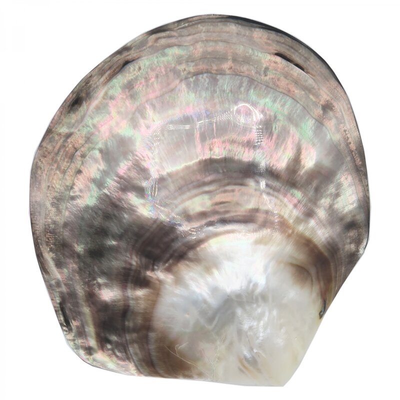 Placheta argint zodia Balanta pe scoica perlifera